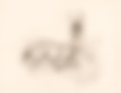 Zwei Rehe (preview)