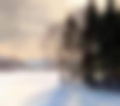 “Der Waldrand” (preview)