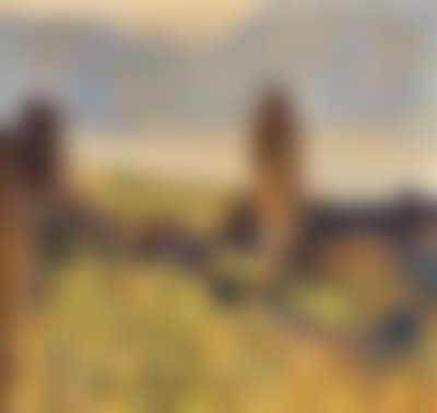 Blick auf die Kunigundenkirche in Dürnstein (preview)