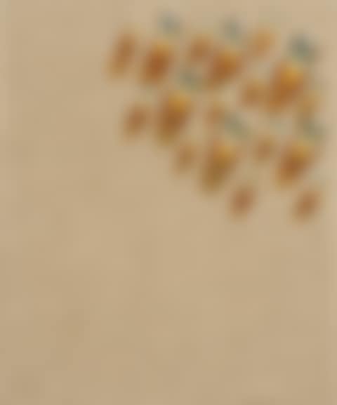 Waterdrops PA01-011 (preview)