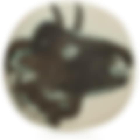 Profil de taureau (A.R. 317) (preview)