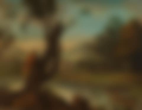 Hiker, gazing into the distance (preview)