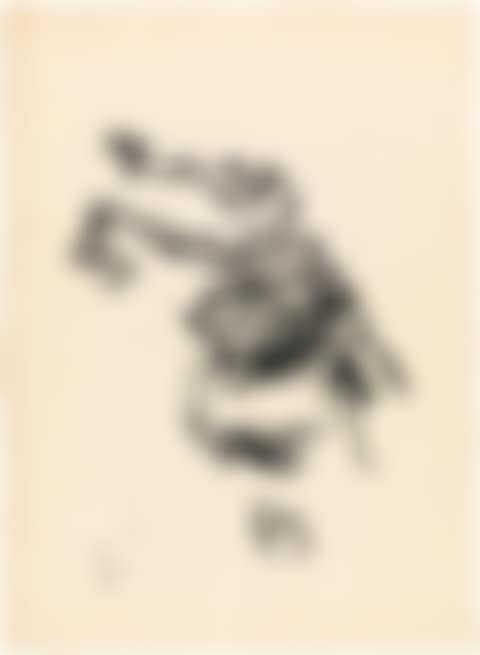 Welke Pflanzen (preview)