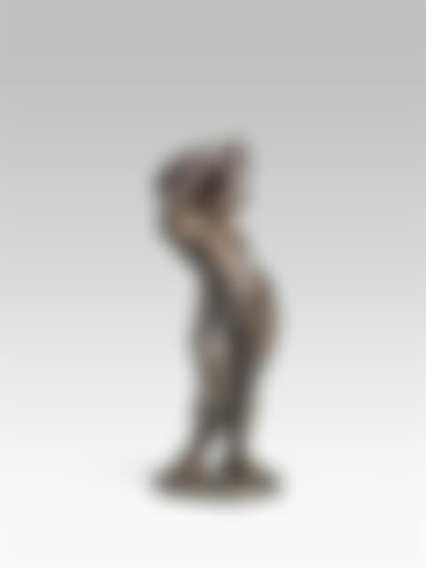 Undressing female nude (preview)
