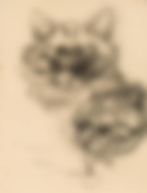 Katzen (preview)