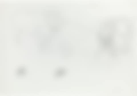 Untitled (Cows) (preview)