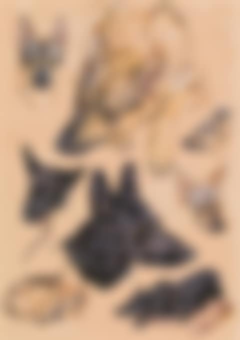 "Freu und Odin" (preview)