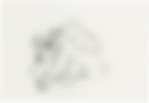 "Affe" (preview)