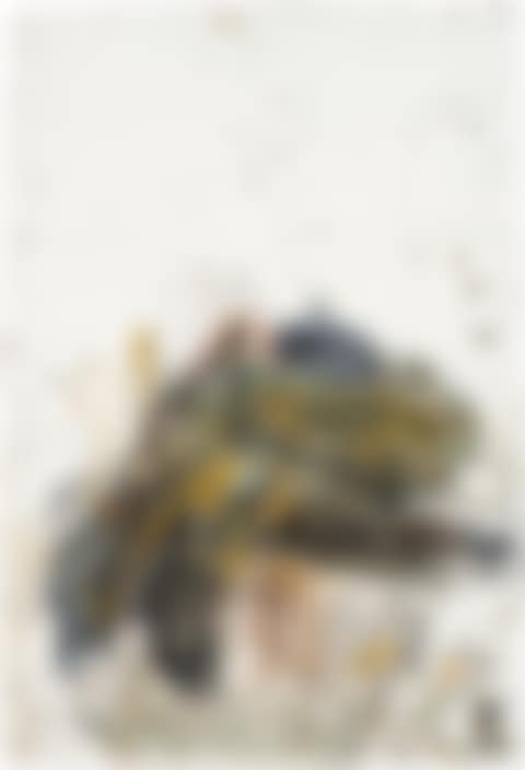 Untitled (Bali) (preview)