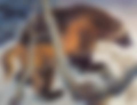 Nebel (preview)