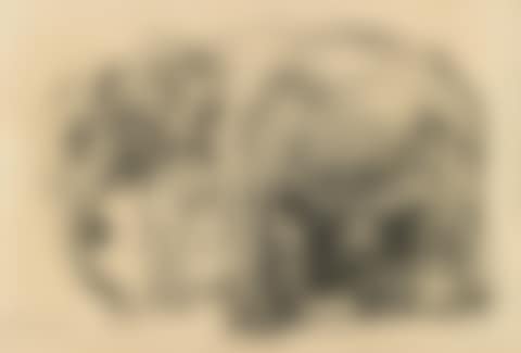 Elephants (preview)