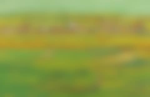 Landscape in the north of Bisamberg (preview)