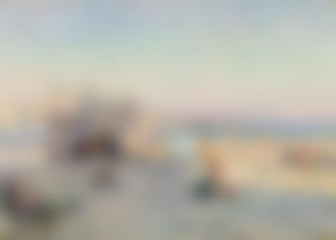 Shell collectors on the beach (preview)