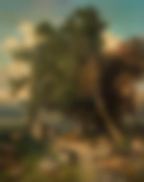 Seewinkel (preview)