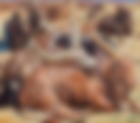 Pastorale (preview)
