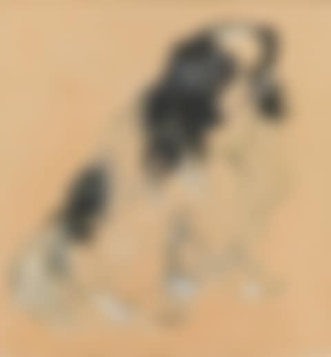Pekinese (preview)