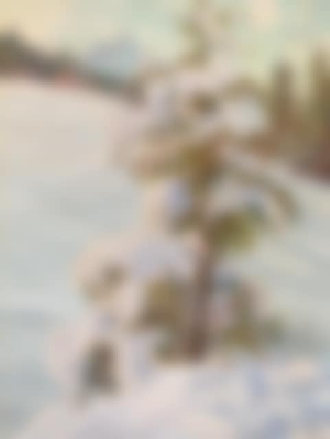 Winter landscape in the mountains (preview)