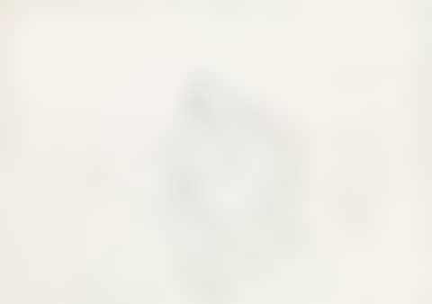 Untitled (Seated woman) (preview)