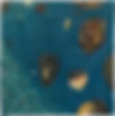 "Blaue Welten" (preview)