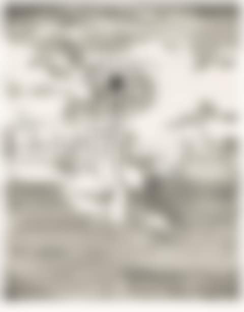 Untitled (Landscape) (preview)