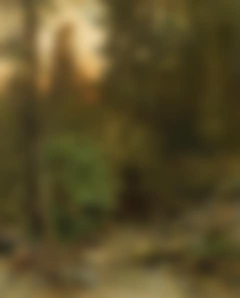 Forest clearing with stag (preview)