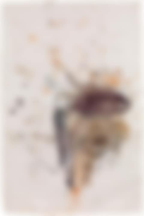 Untitled (preview)