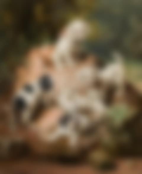 Young dogs (preview)