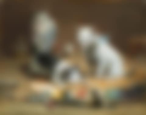 Kittens at the studio (preview)