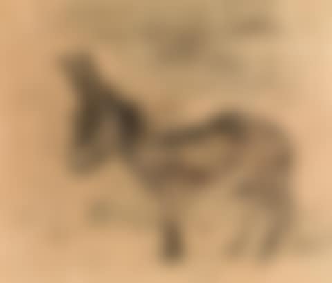 Donkey (preview)