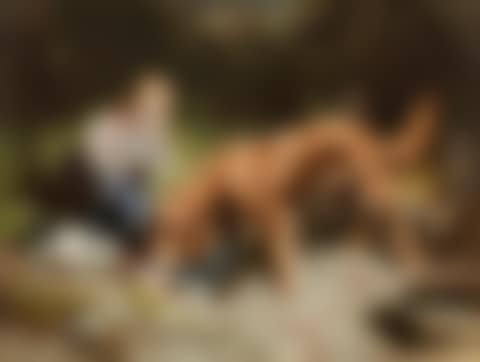 "Gemeinsames Mahl unter Freunden (dinner with friends)" (preview)