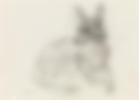 Shepherd dog (preview)