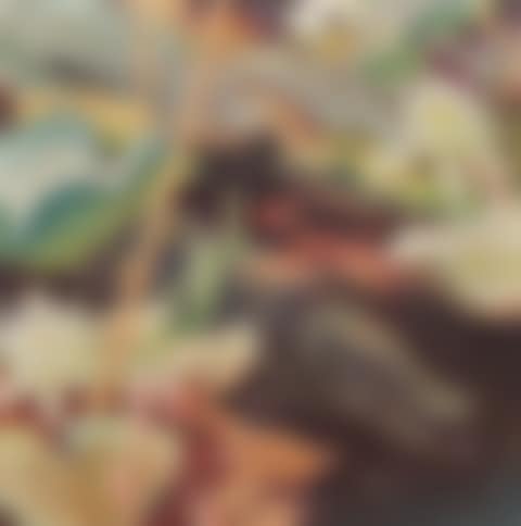 "Wasserwolf" (preview)