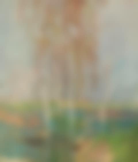 Birches (Chotbor) (preview)