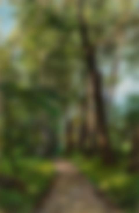 Aupartie (preview)
