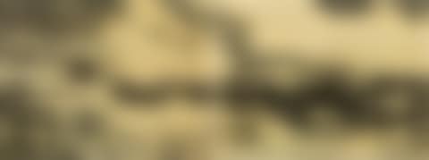 Untitled (diptychon) (preview)