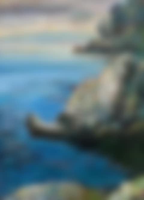 Coast landscape (preview)