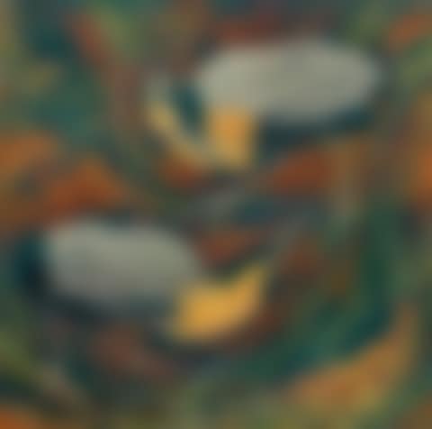 Birds (preview)