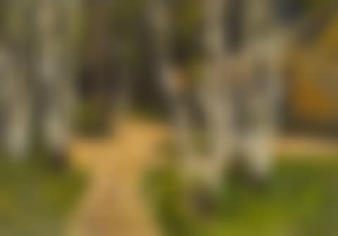 Tree landscape (preview)