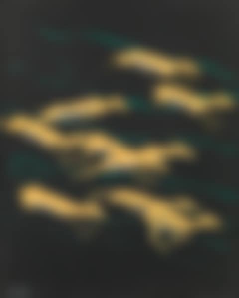 Gazelles (preview)