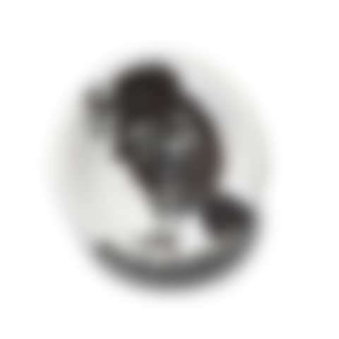 Bird with worm (preview)
