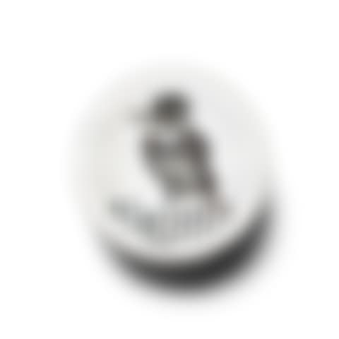 Bird with tuft (preview)