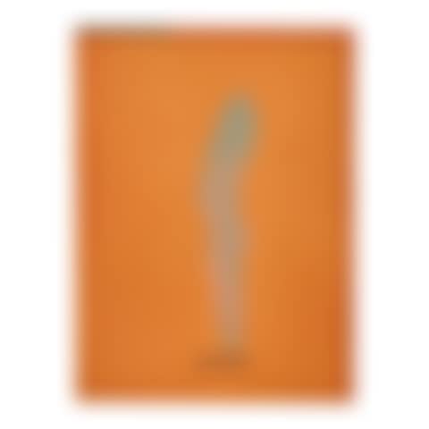 Torso II (preview)