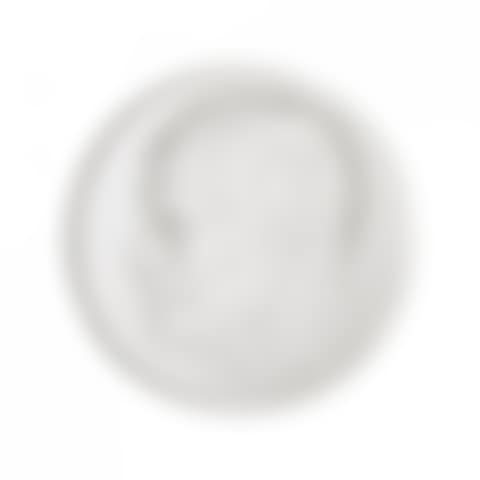 MEDAL "PASTEUR" (preview)