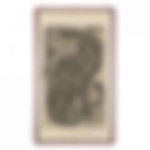 TALISMANIC PICTURE OF TIGER AND MAGPIES FROM YI ERA (preview)