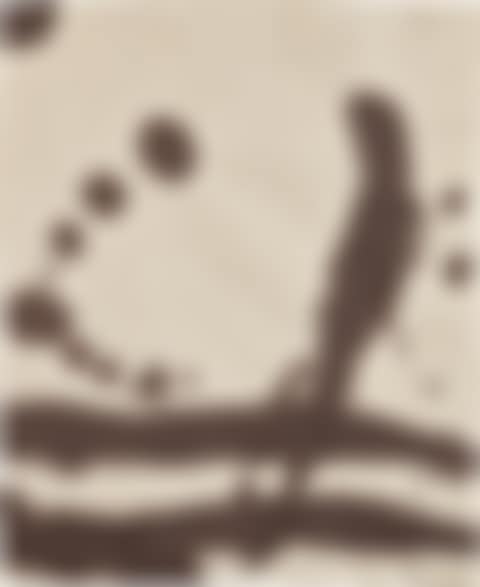 Lyric Suite (preview)