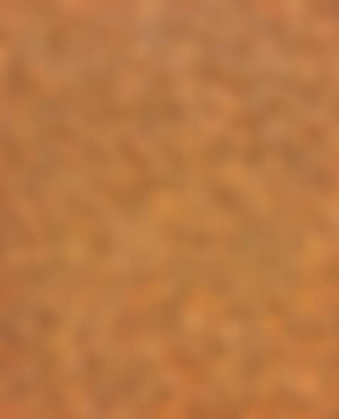 Recurrence (preview)