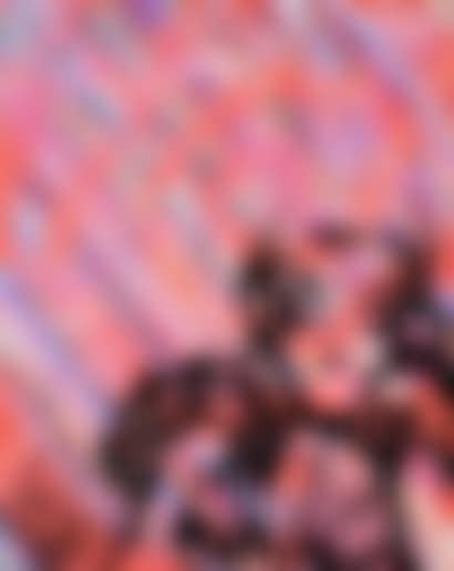 Gamie and Lin, victims of the fury (preview)