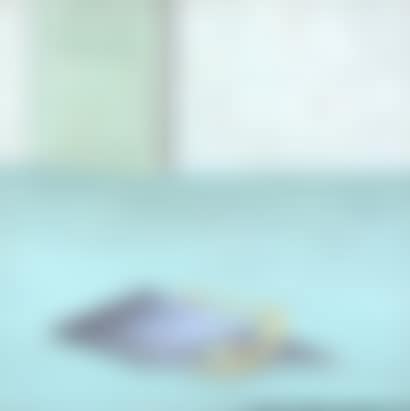 WORKSHOP; (Tribute to T0PINO-LEBRUN SERIES) (preview)