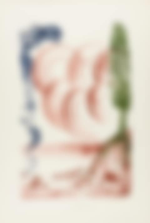Atomo, from Colibri (Field 73-5 A) (preview)