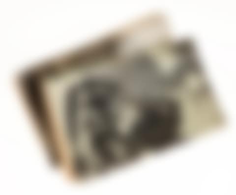Heinrich und Thomas Mann (preview)